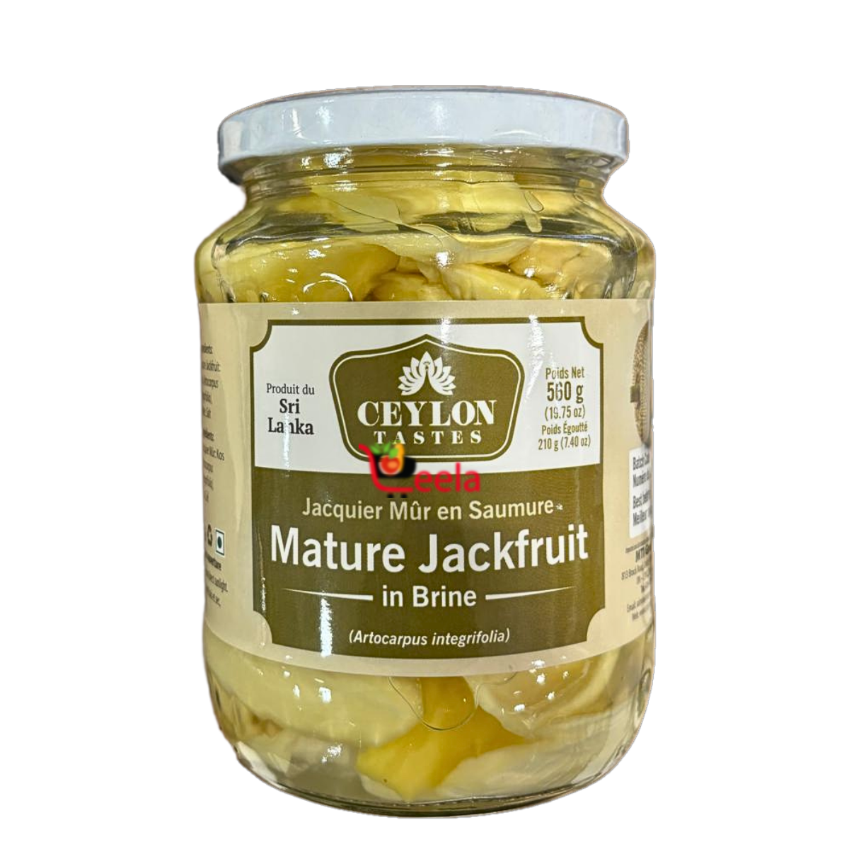 Ceylon Mature Jackfruit in Brine 560g