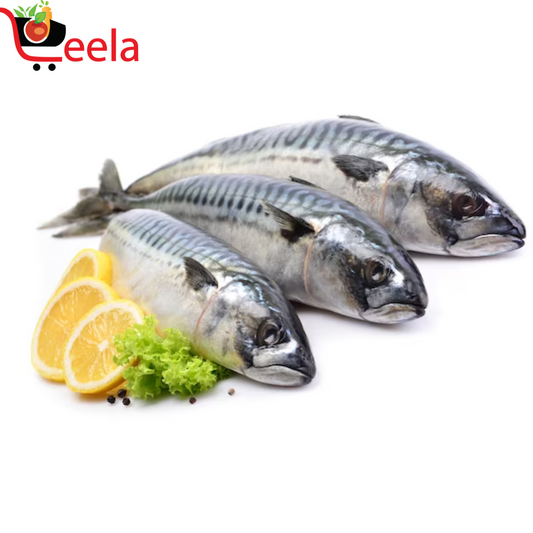 INDIAN MACKEREL