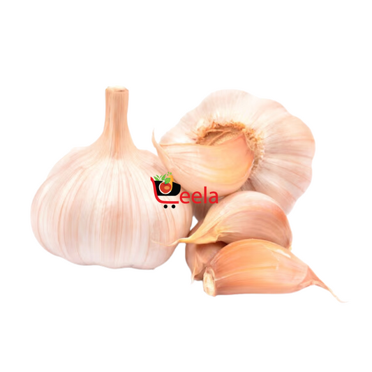 GARLIC