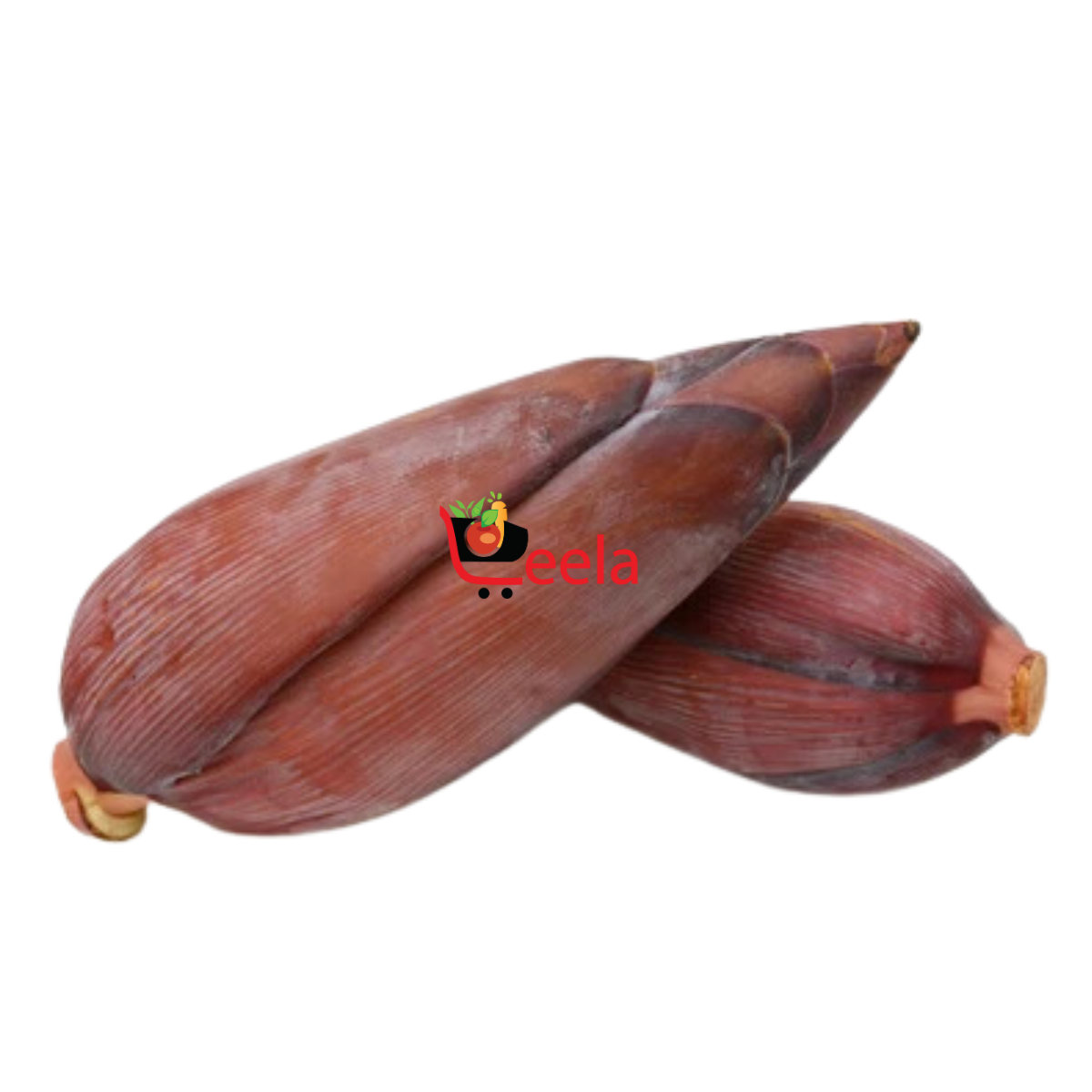 BANANA FLOWER