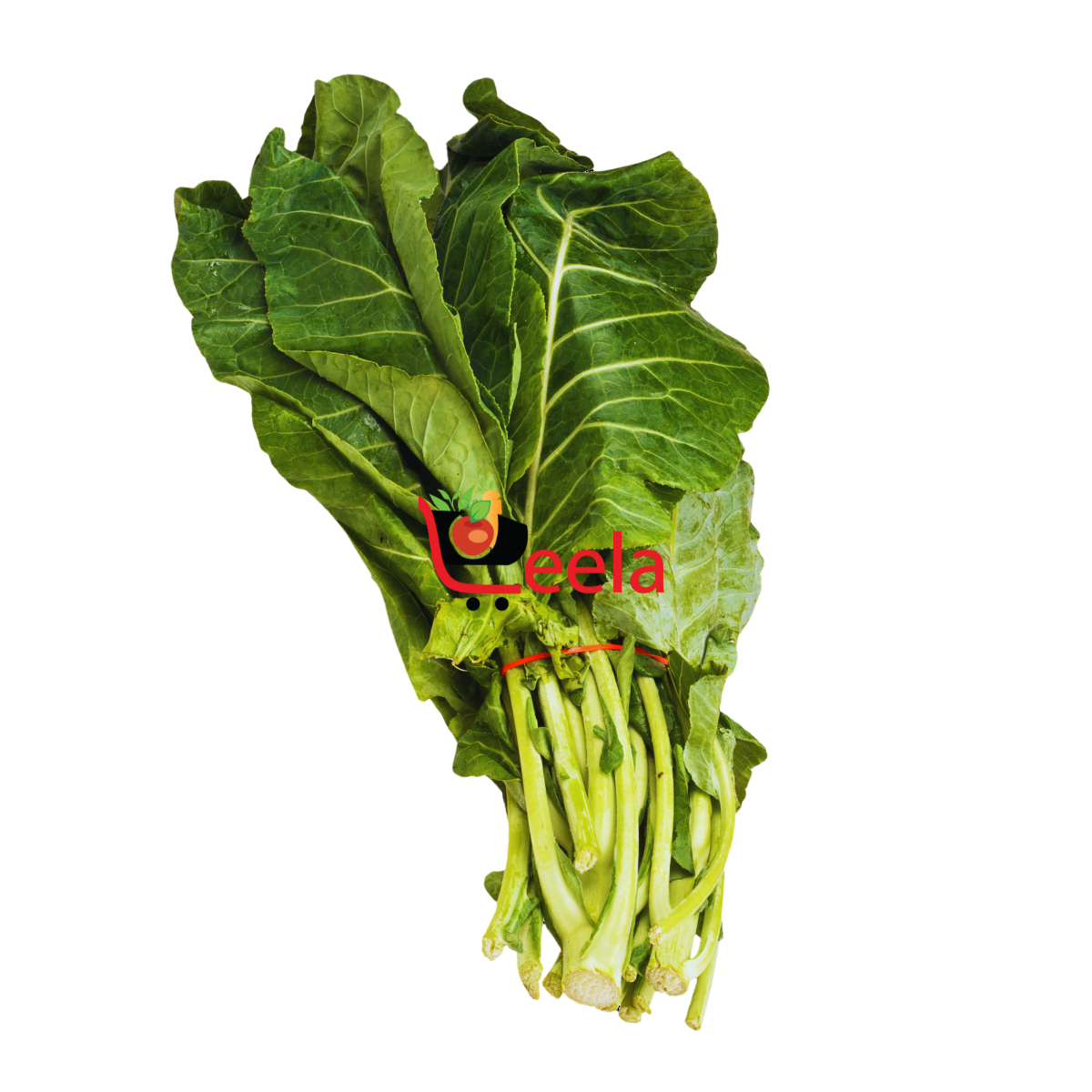 COLLARD