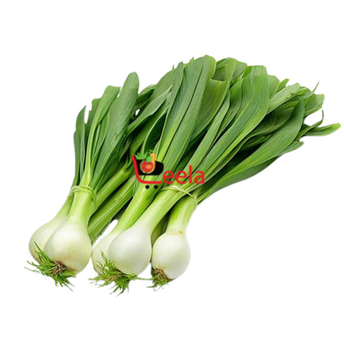 LEEKS